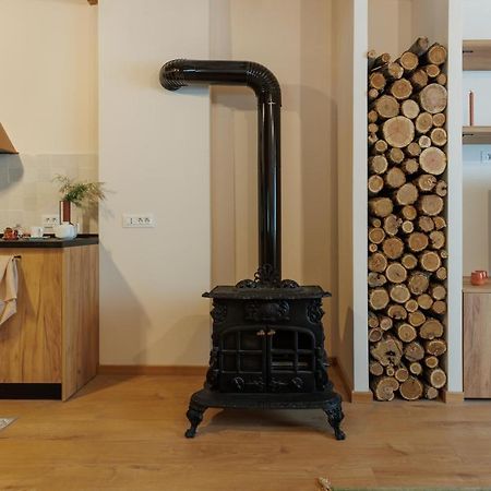 Roua Ludica Apartments ブラショフ エクステリア 写真