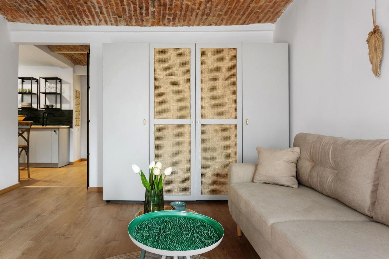 Roua Ludica Apartments ブラショフ エクステリア 写真